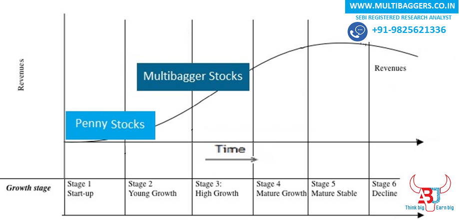 Difference Between Multibagger and Penny Stocks