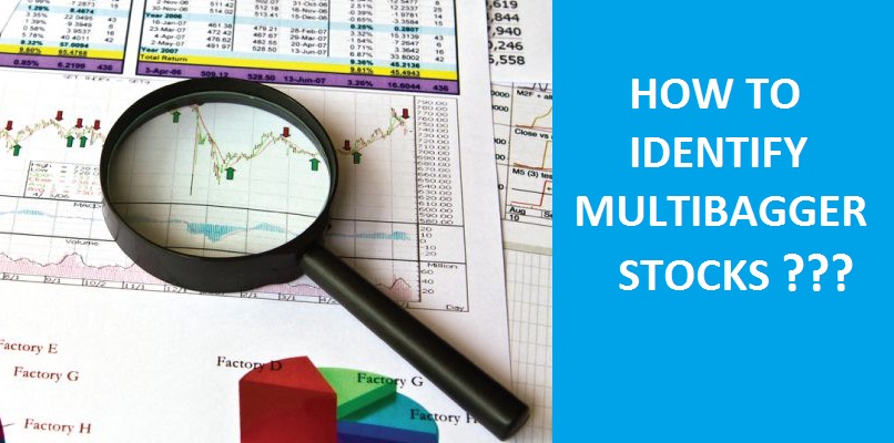 How to identify Multibagger Stocks