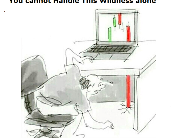 This Is Why You Need an Advisor You cannot Handle This Wildness alone